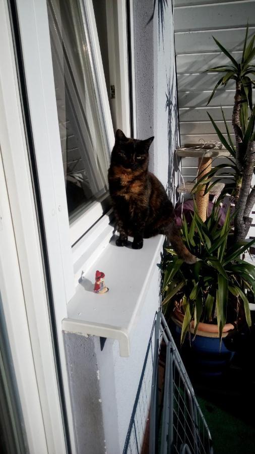 Ferienwohnung Schwalbennest Sommerach Bagian luar foto