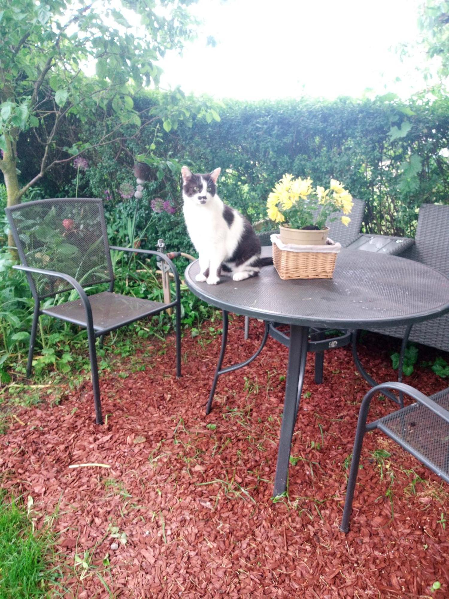 Ferienwohnung Schwalbennest Sommerach Bagian luar foto